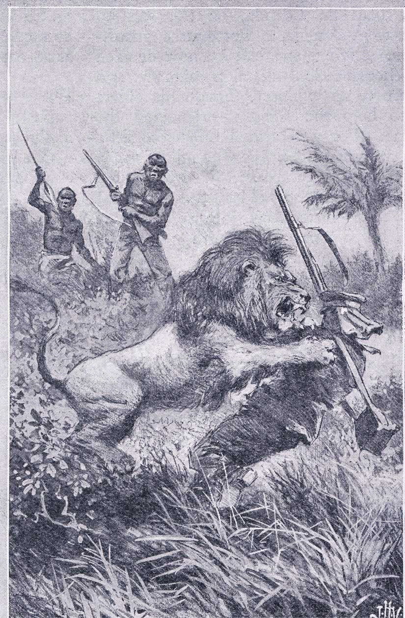 利文斯通的结局，纽尼斯出版的《纽尼斯画报知识》，约1950年代（石印）。 作者 约翰哈里斯瓦尔达
