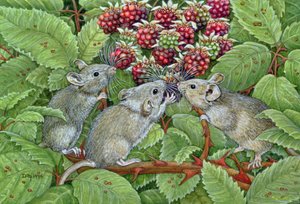 Blackberrying，1996年（面板上的丙烯酸） 作者 迪兹