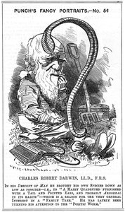 查尔斯-达尔文（1809-1882）英国博物学家。自然选择的进化。爱德华-林利-桑伯恩（1844-1910）的漫画，载于伦敦《Punch》杂志的花式肖像系列，1881年，这一年达尔文发表了《通过作用形成植物模型》。