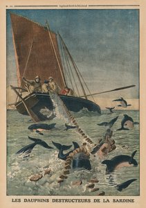海豚摧毁沙丁鱼，封面插图来自&39;Le Petit Journal&39;，补充illustre，1913年3月23日