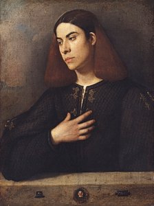 年轻人安东尼奥·布罗卡多的画像，约1509-1510年。