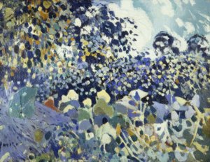 布卢姆 作者 Joaquim Mir i Trinxet