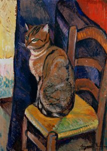 研究一只猫坐在椅子上；坐在椅子上的猫的研究