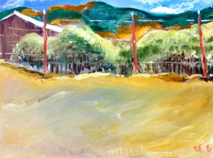 索诺玛的葡萄园，2017年 作者 理查德·福克斯