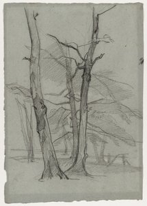 树木景观研究，c。 1870-1875年。 作者 托马斯·库蒂（Thomas Couture）