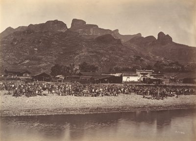 鸭子市场，约1869年。 作者 赖阿芳