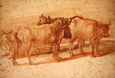 奶牛（纸上红色粉笔） 作者 克劳德·洛兰